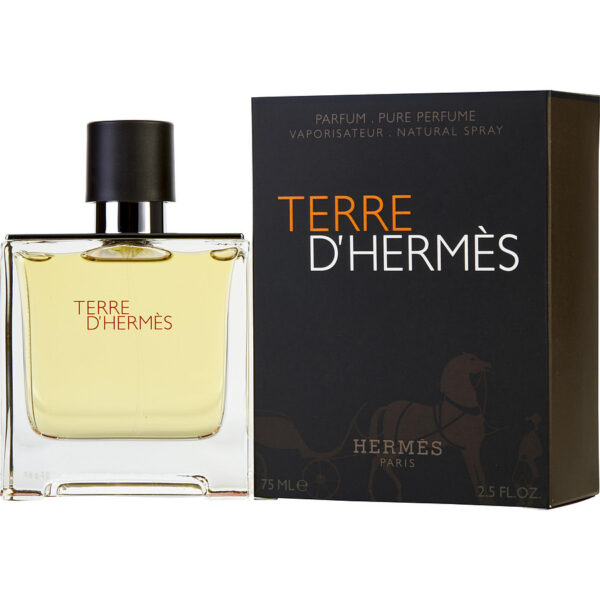 20 Most Popular Colognes for Men [April 2022] Fragranceze